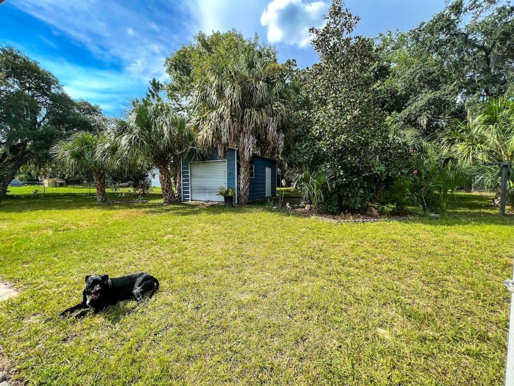 Villa House Of Shells, Beautiful Garden, Fenced Yard, Dog Friendly, Fire Pit! Crystal River Exterior foto