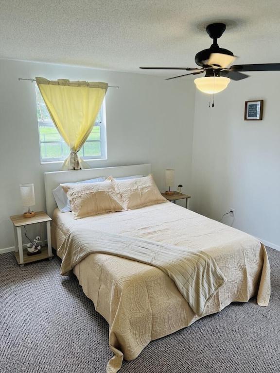 Villa House Of Shells, Beautiful Garden, Fenced Yard, Dog Friendly, Fire Pit! Crystal River Exterior foto